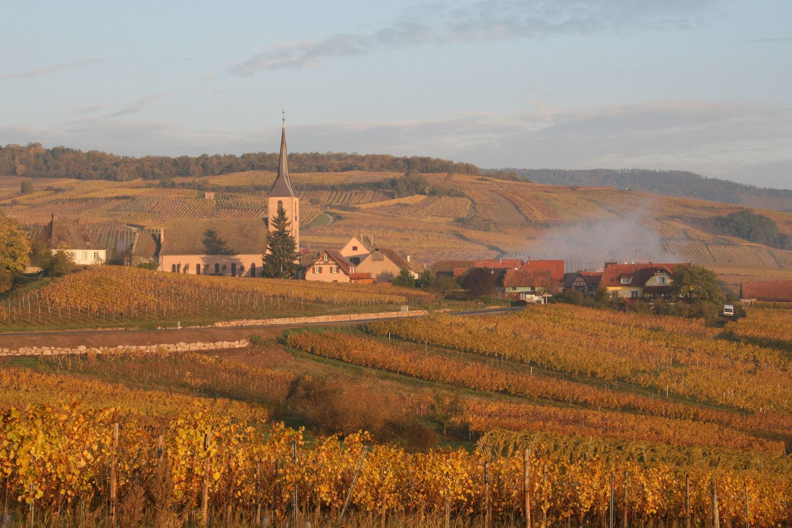 Alsace: viinitarhoja, Vogeesien ja Reinin välissä